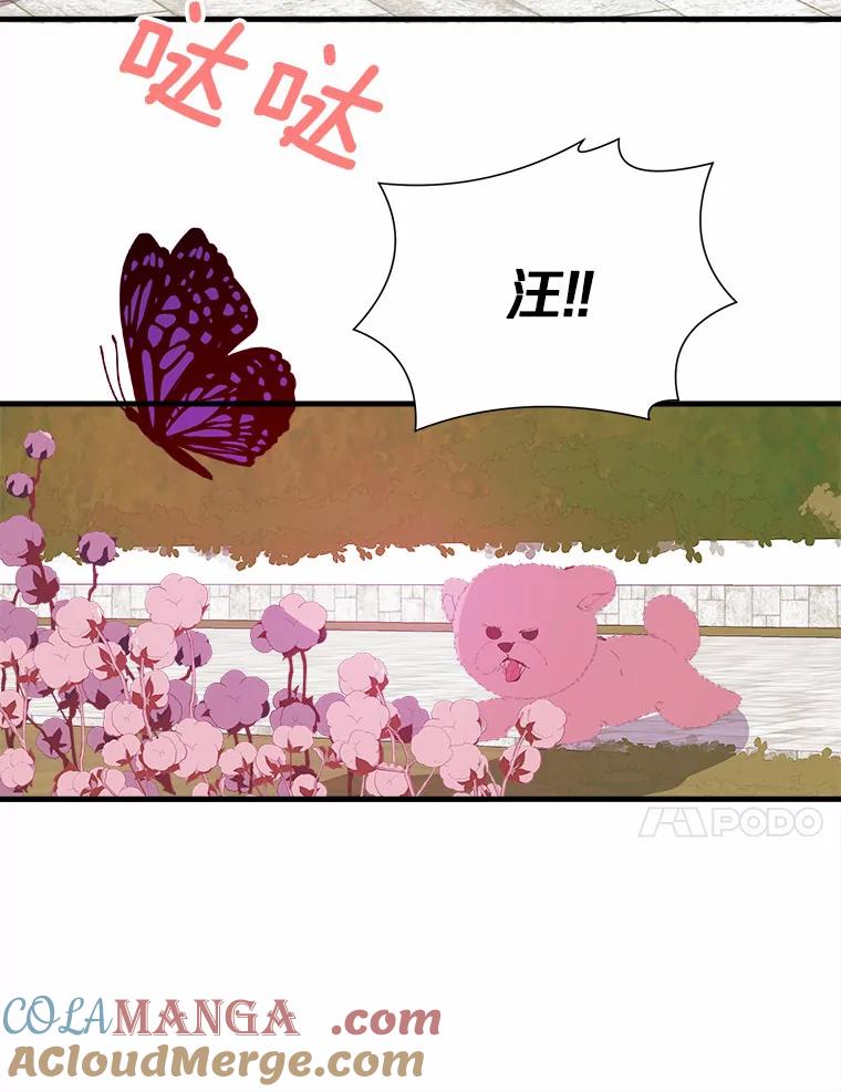 《渴望假妹妹》10.白色的花 第57页