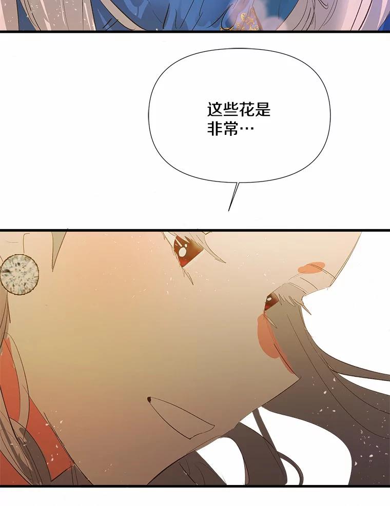 《渴望假妹妹》10.白色的花 第83页