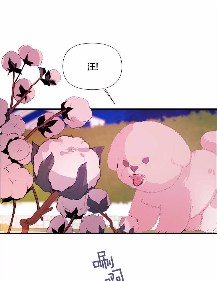 《渴望假妹妹》10.白色的花 第58页