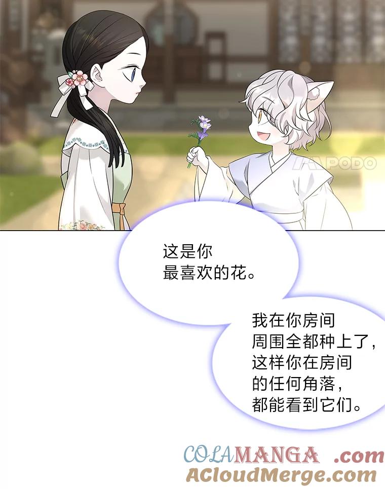 《魅惑狐狸》11.不言放弃小白狐 第58页
