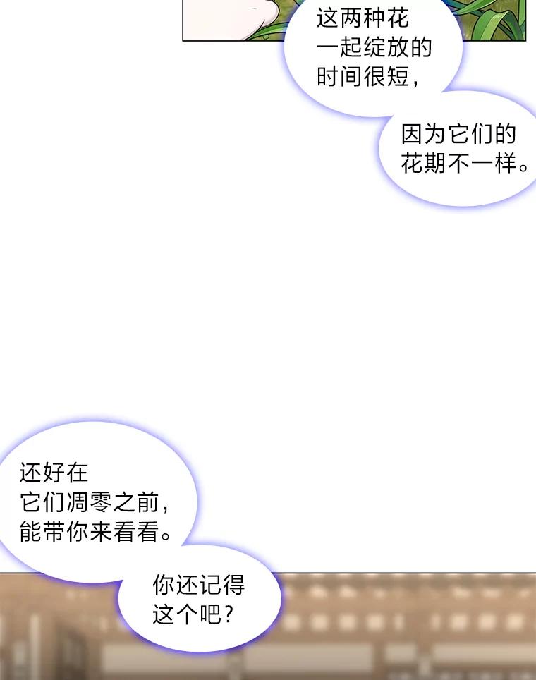 《魅惑狐狸》11.不言放弃小白狐 第57页