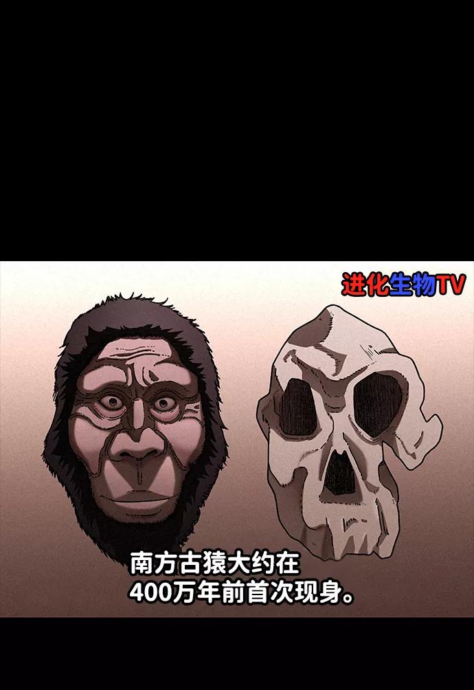 《捕食动物》第32话 第64页