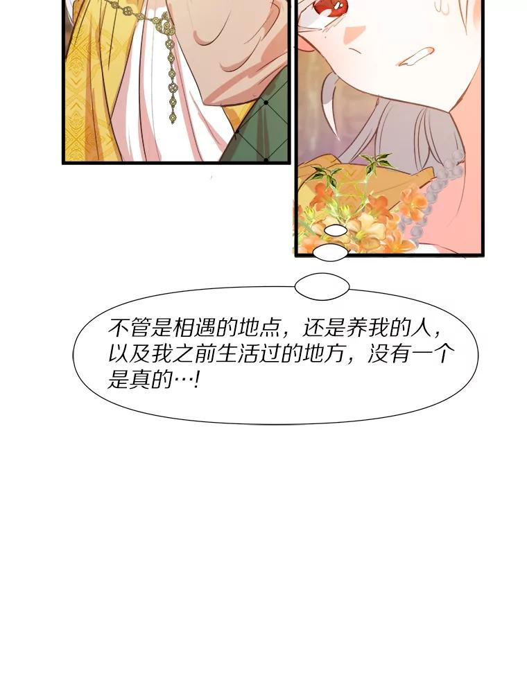 《渴望假妹妹》3.失足坠湖 第11页