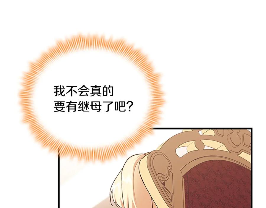 奶萌魔力小公主 番外4 爸爸不会结婚的 第15页