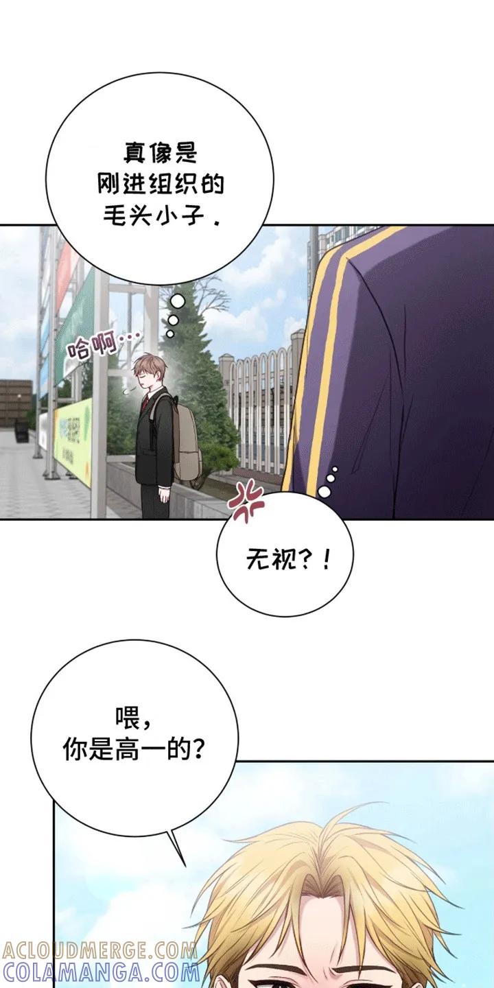 《大哥变身高中生》第9章：反击 第11页