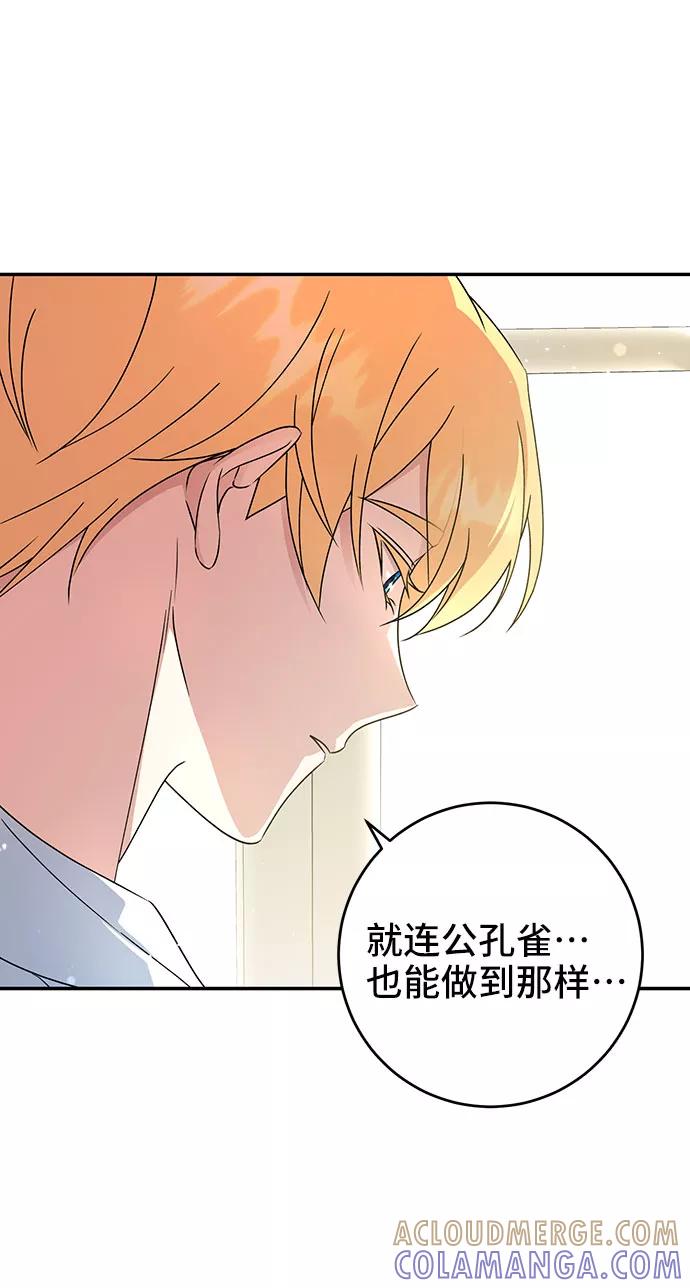 《给予维塞尔的玫瑰》第19话 第58页