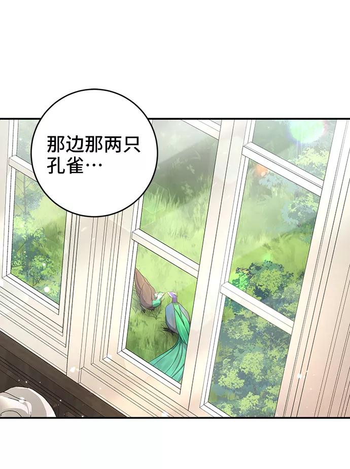 《给予维塞尔的玫瑰》第19话 第50页