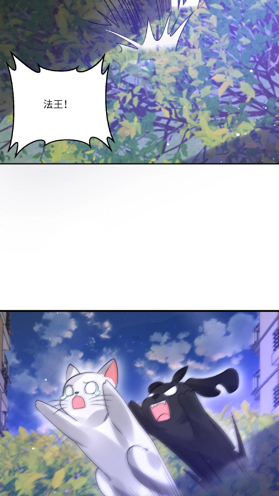 《空间系老六，末世先囤一万吨猪肉》第24话 会心灵交流的神奇小猫 第12页