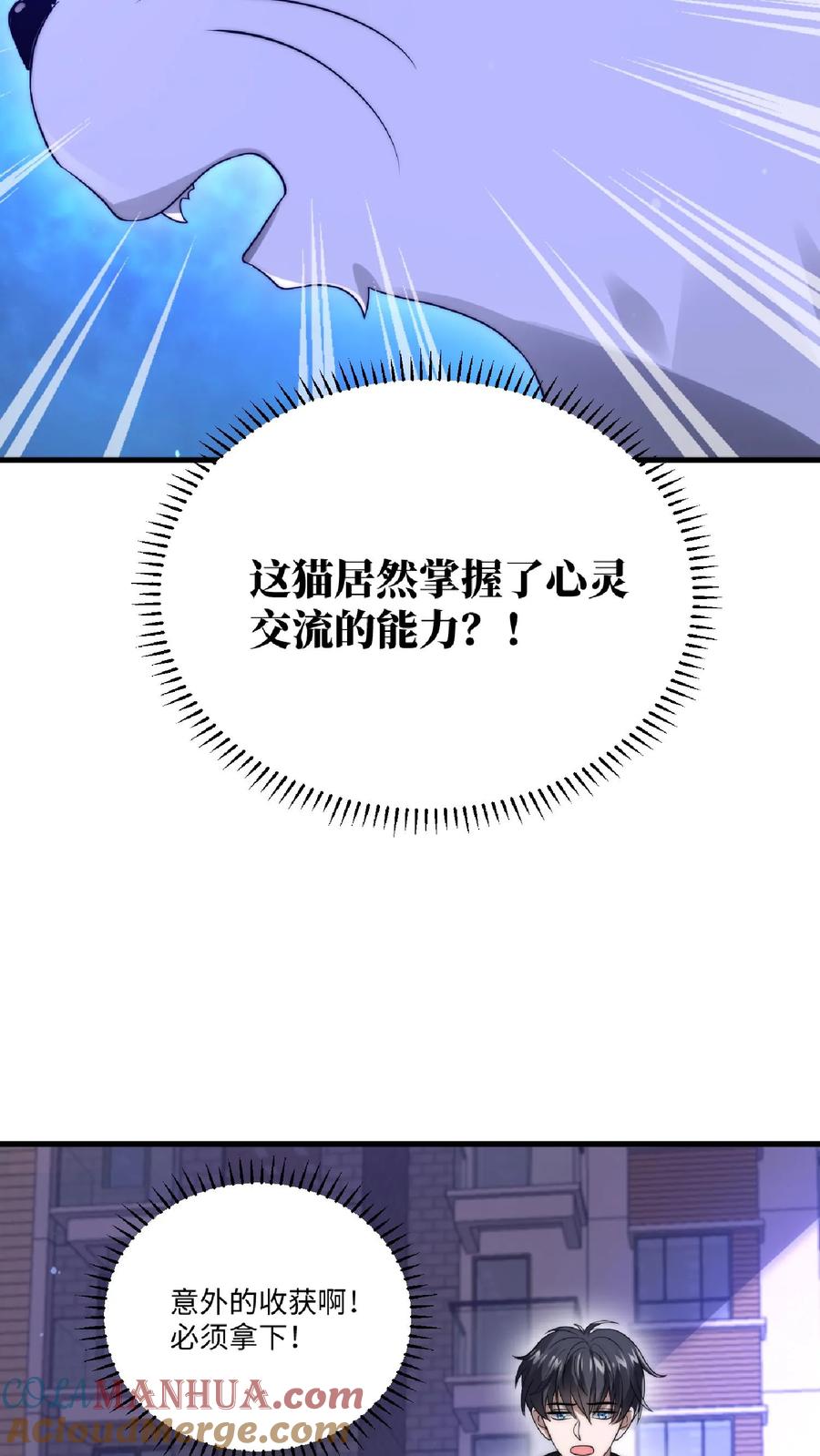 《空间系老六，末世先囤一万吨猪肉》第24话 会心灵交流的神奇小猫 第17页