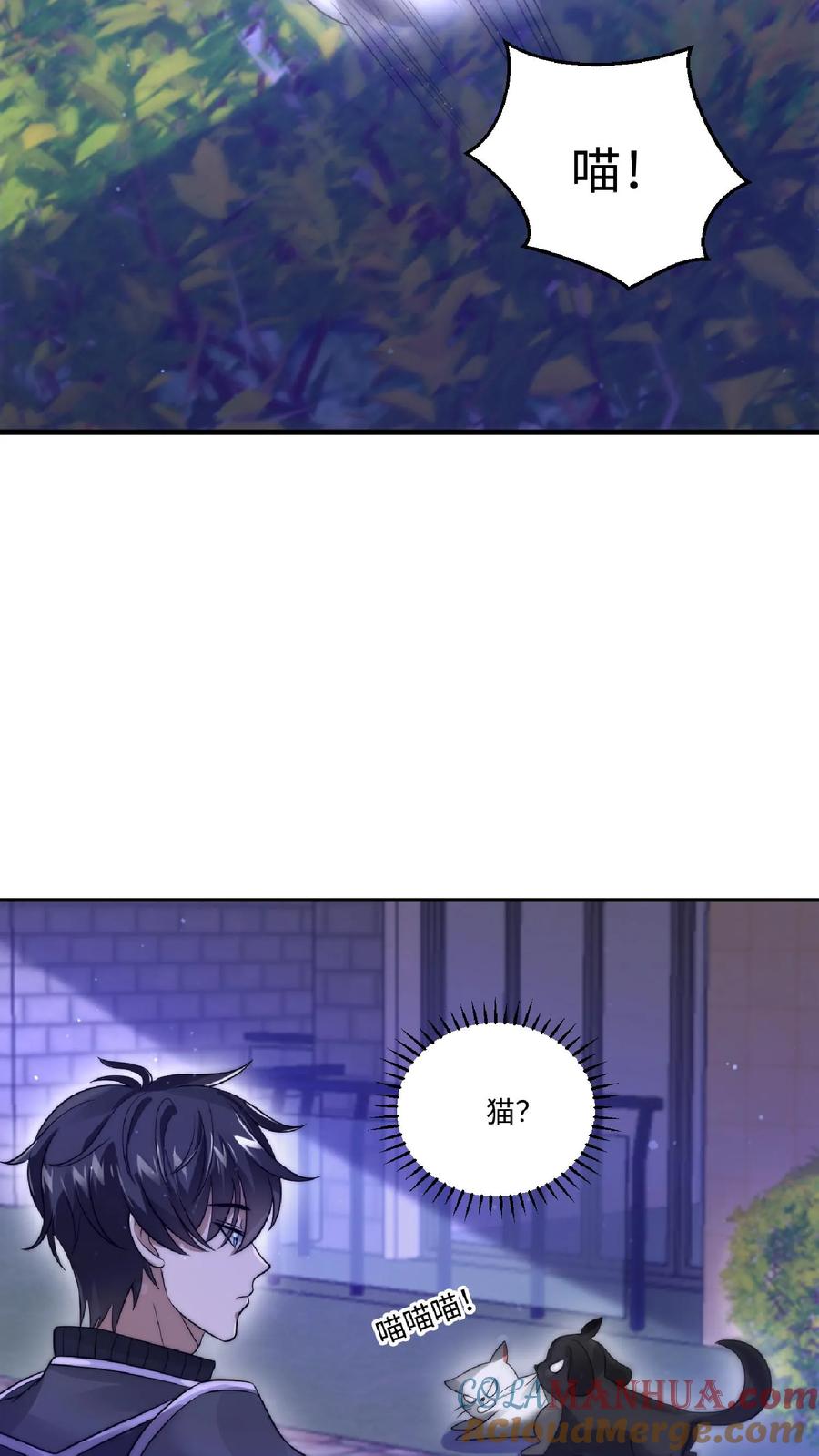 《空间系老六，末世先囤一万吨猪肉》第24话 会心灵交流的神奇小猫 第13页