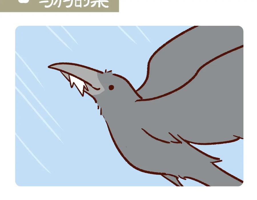 《胖达x胖达》第246话 第12页