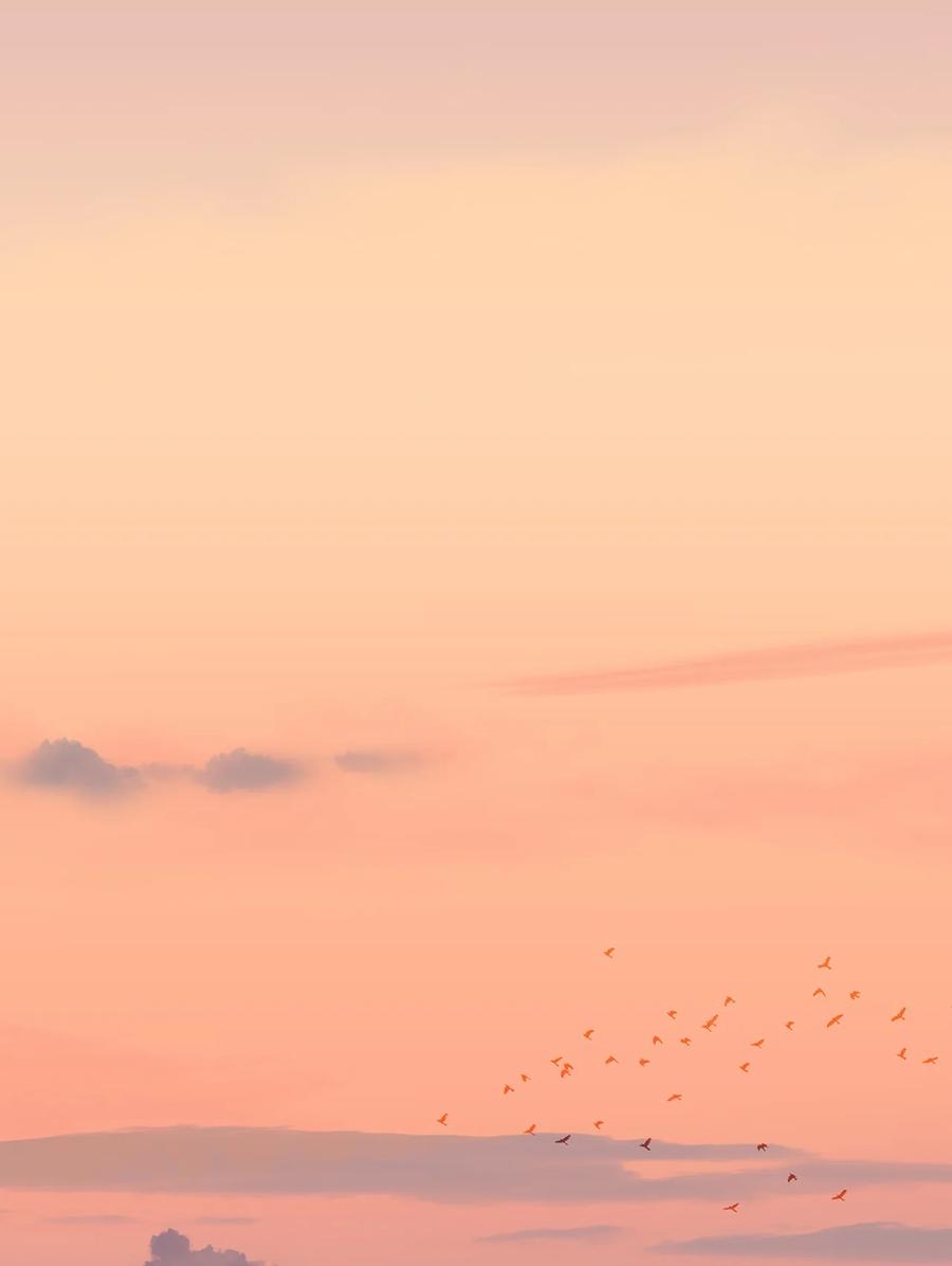 春江花月 - 263 隐患 - 第27张图