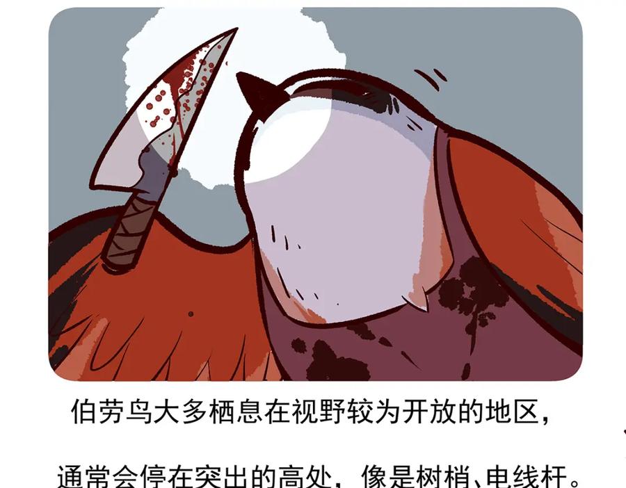 《胖达x胖达》第53话 第22页
