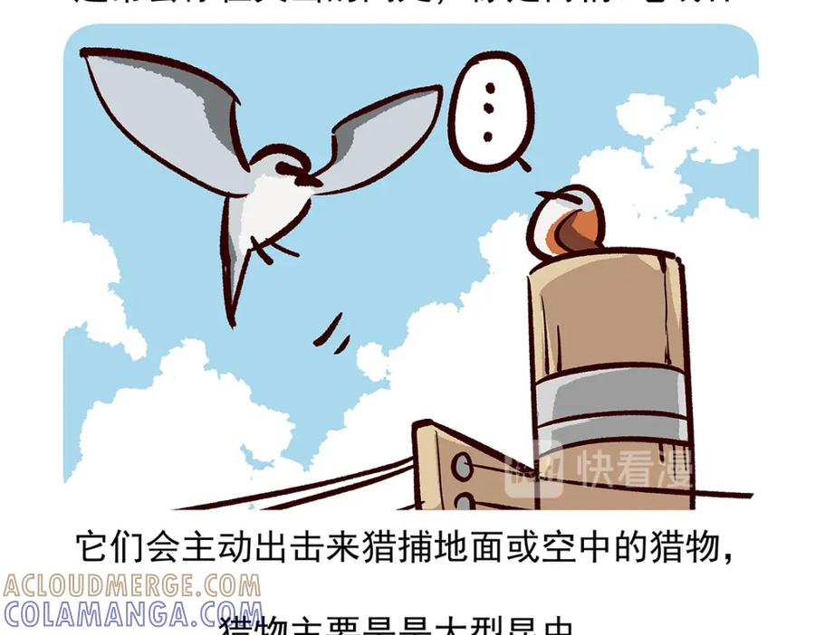 《胖达x胖达》第53话 第23页