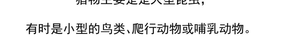 《胖达x胖达》第53话 第24页