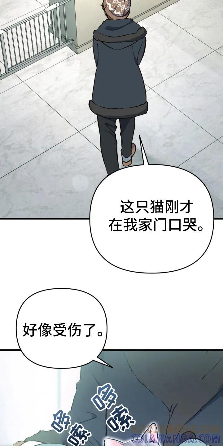 《快穿救赎》第8章： 受伤的猫咪 第13页