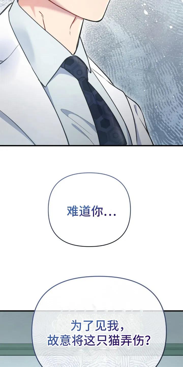《快穿救赎》第8章： 受伤的猫咪 第16页