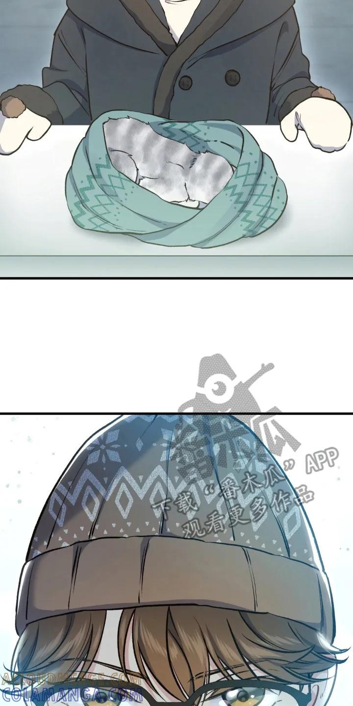 《快穿救赎》第8章： 受伤的猫咪 第23页