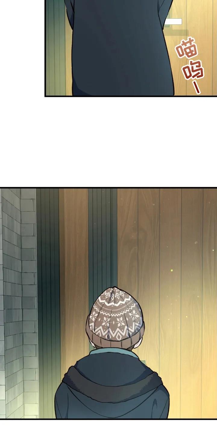 《快穿救赎》第8章： 受伤的猫咪 第4页