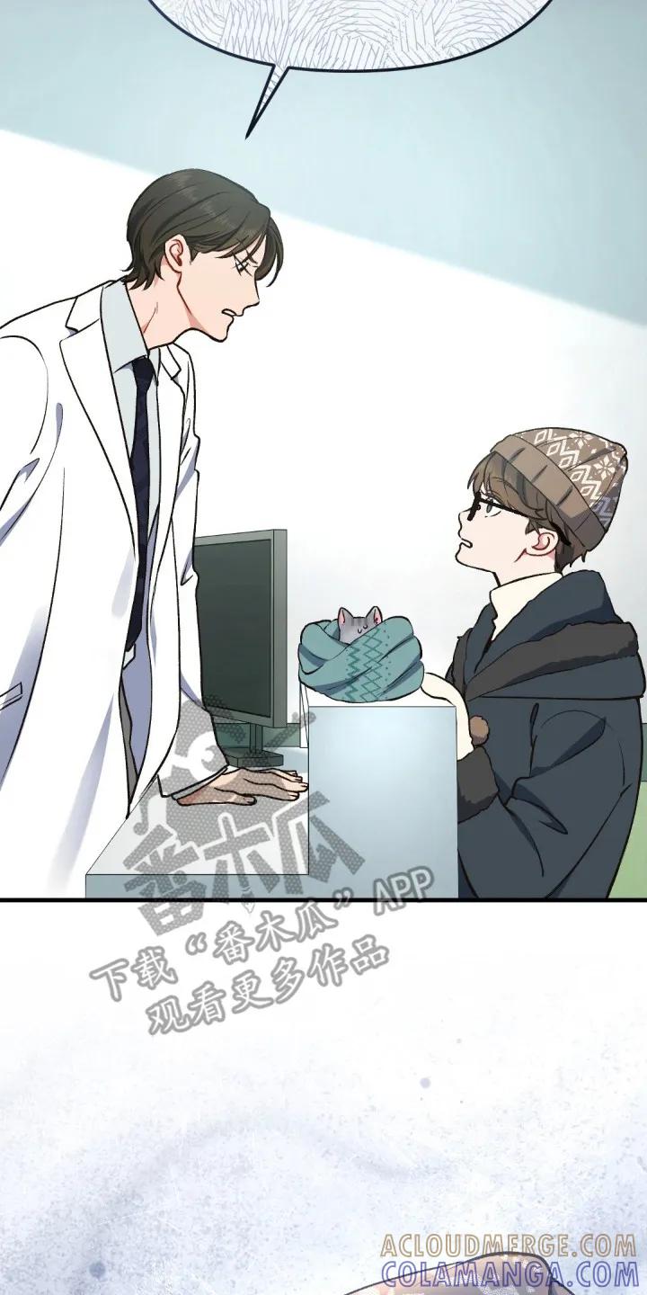 《快穿救赎》第8章： 受伤的猫咪 第17页