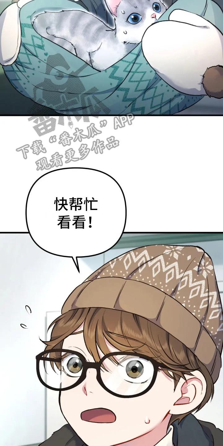 《快穿救赎》第8章： 受伤的猫咪 第14页