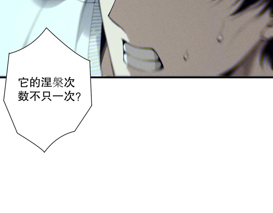 死灵法师！我即是天灾 第205话 远古地龙 第11页
