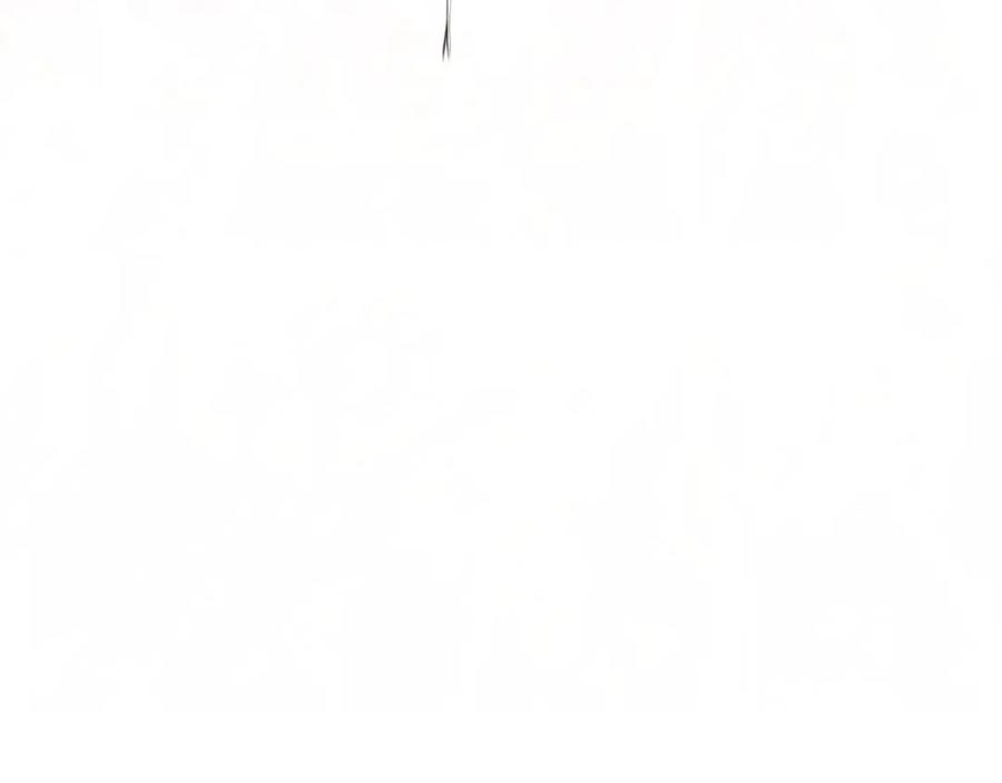 206.jpg
