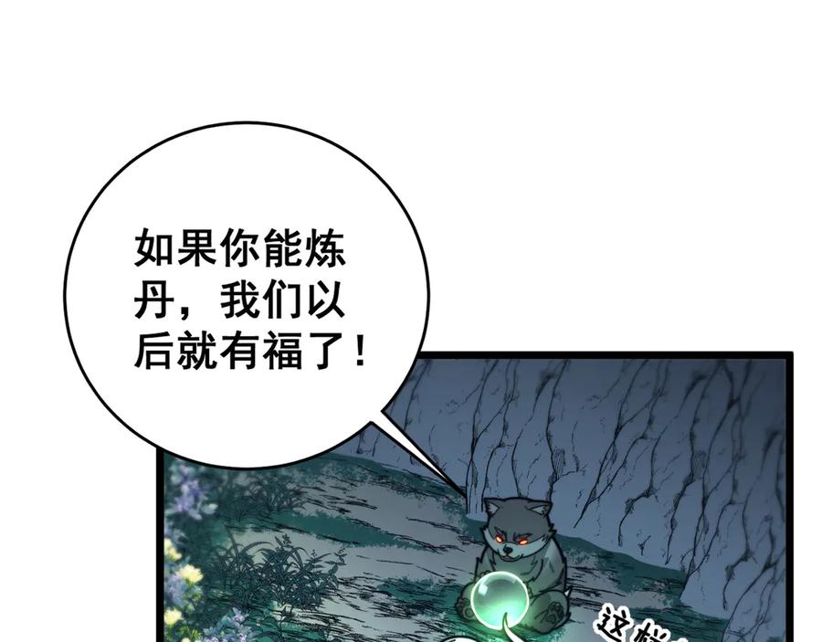 老蛇修仙传（蛇祖） 第29回 测灵根天赋初显 第12页