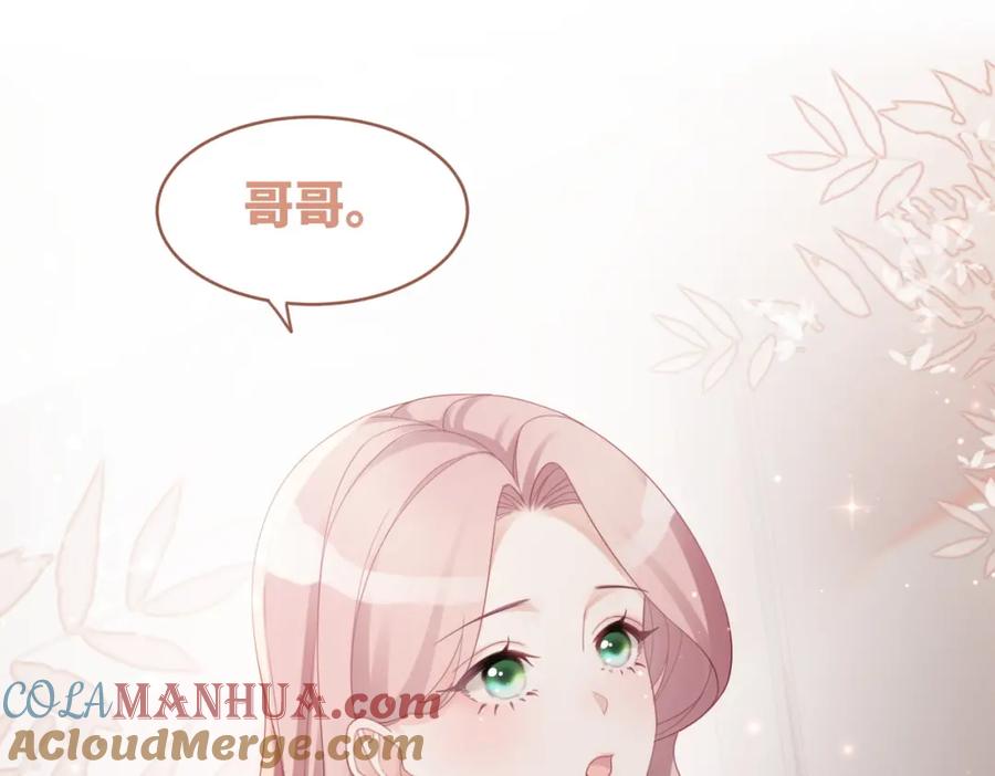 《快穿女配冷静点》第35话 宠妹狂魔 第25页