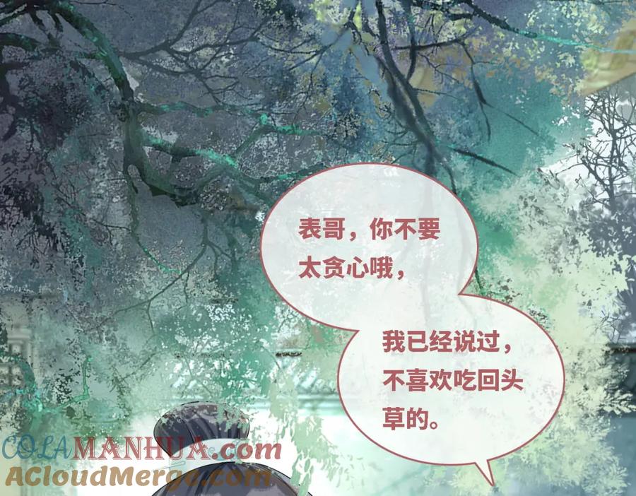 《快穿女配冷静点》第65话 奇葩家人的小算盘 第5页