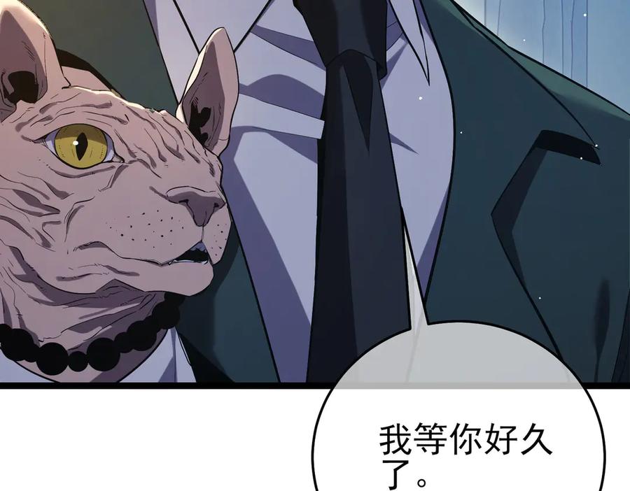 《我靠无敌被动打出成吨伤害！》第68话 蒋老成功当选 第207页