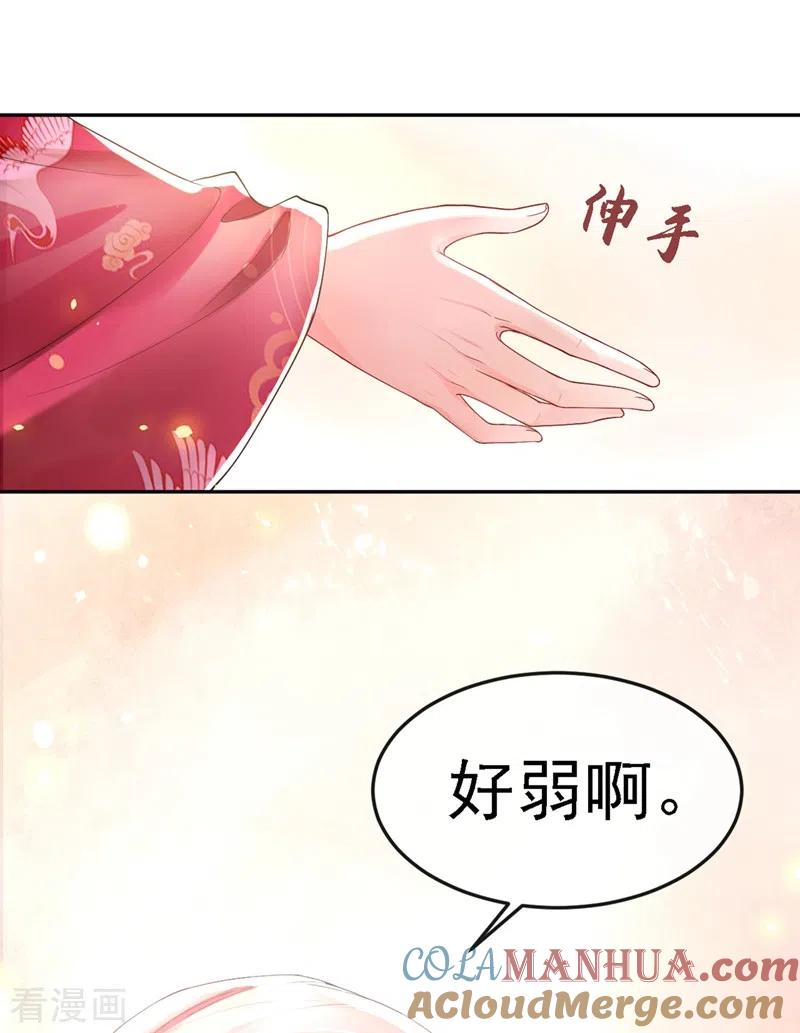 《快穿系统：反派大佬不好惹》第1话 如此蠢顿，干脆杀了吧！ 第28页