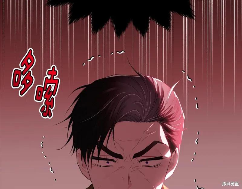 《明明是冷美人小姐却变成了忠犬大少爷》第73话 第195页