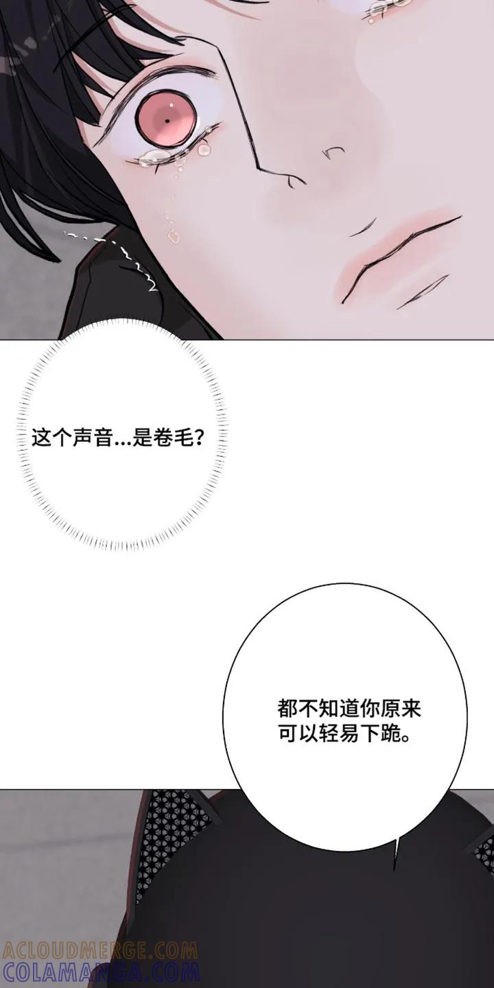 《海岛人生》第98章：【第二季】恐惧症 第15页