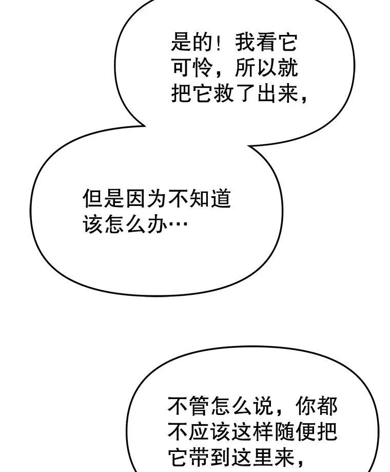 《彩虹桥守望者》144.一起做义工 第68页
