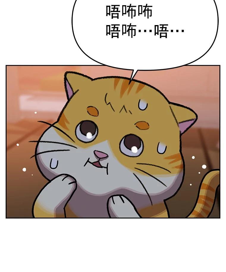 《彩虹桥守望者》146.小流浪猫 第30页