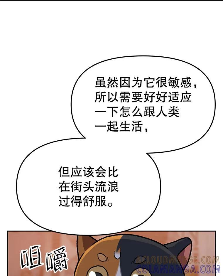 《彩虹桥守望者》146.小流浪猫 第76页
