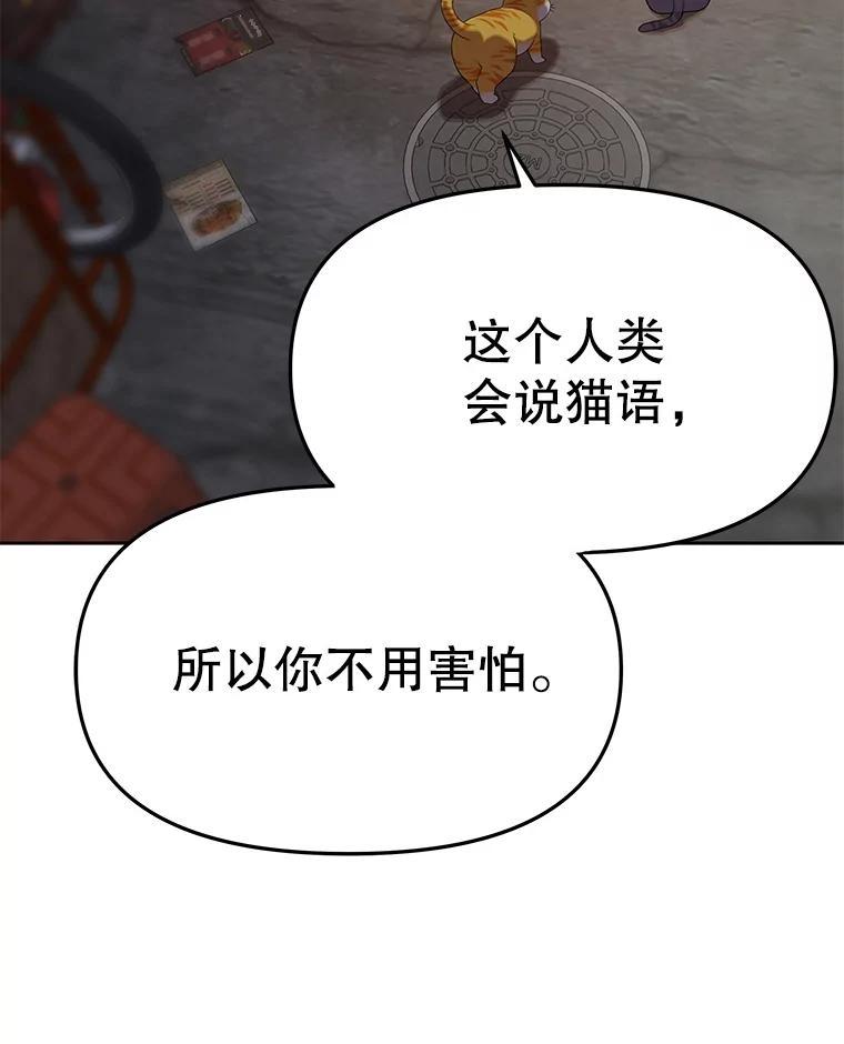 《彩虹桥守望者》146.小流浪猫 第56页