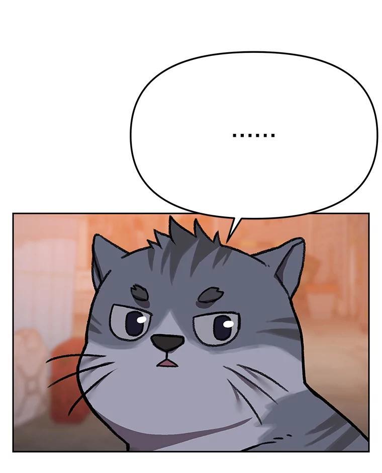 《彩虹桥守望者》146.小流浪猫 第81页