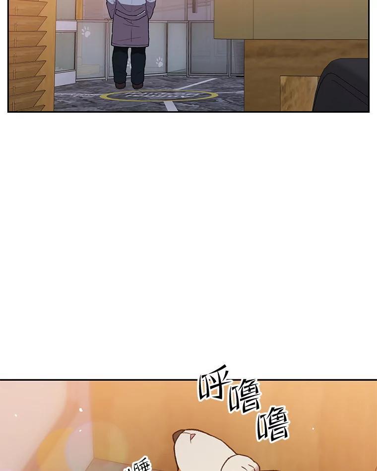 《彩虹桥守望者》146.小流浪猫 第17页