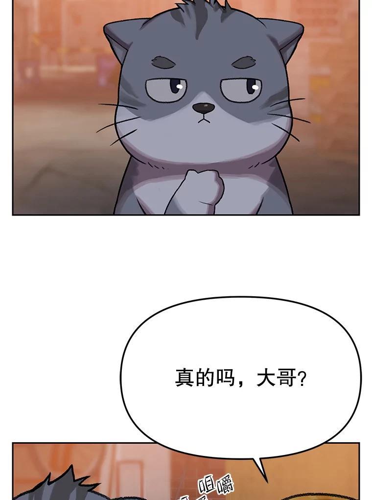 《彩虹桥守望者》146.小流浪猫 第84页