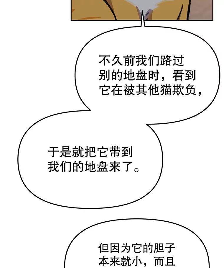 《彩虹桥守望者》146.小流浪猫 第69页