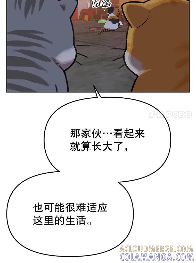 《彩虹桥守望者》146.小流浪猫 第85页