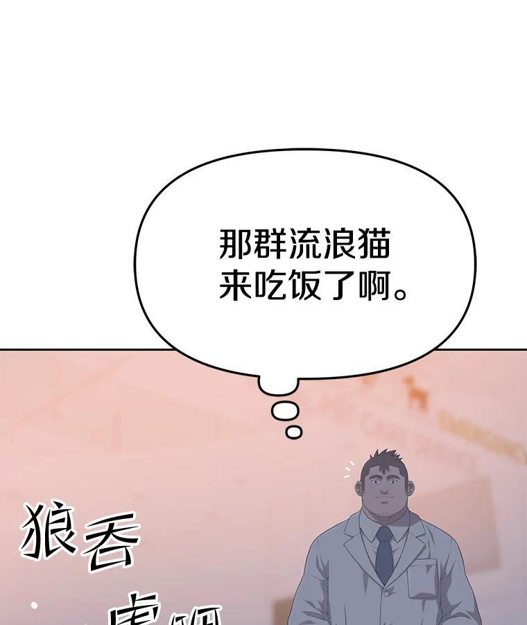 《彩虹桥守望者》146.小流浪猫 第21页