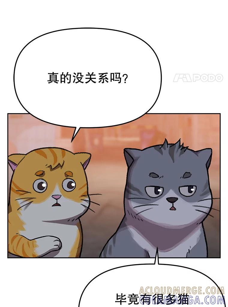 《彩虹桥守望者》146.小流浪猫 第82页