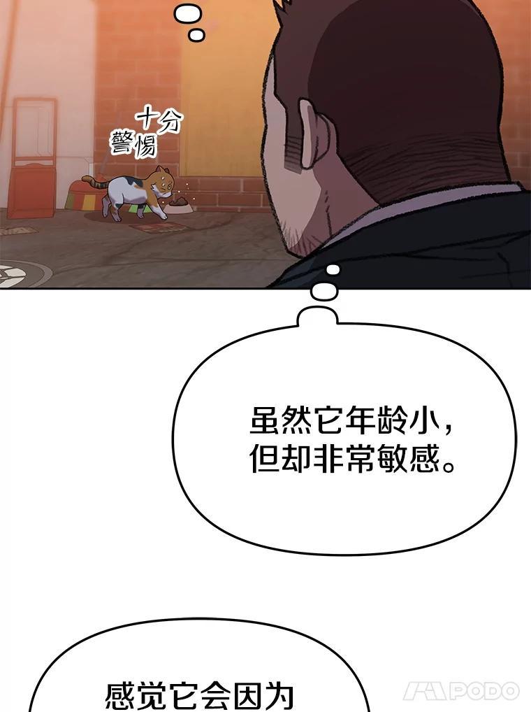 《彩虹桥守望者》146.小流浪猫 第65页