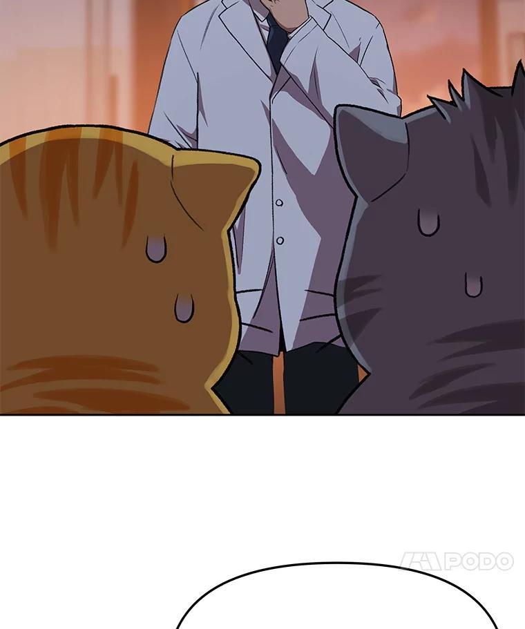 《彩虹桥守望者》146.小流浪猫 第29页