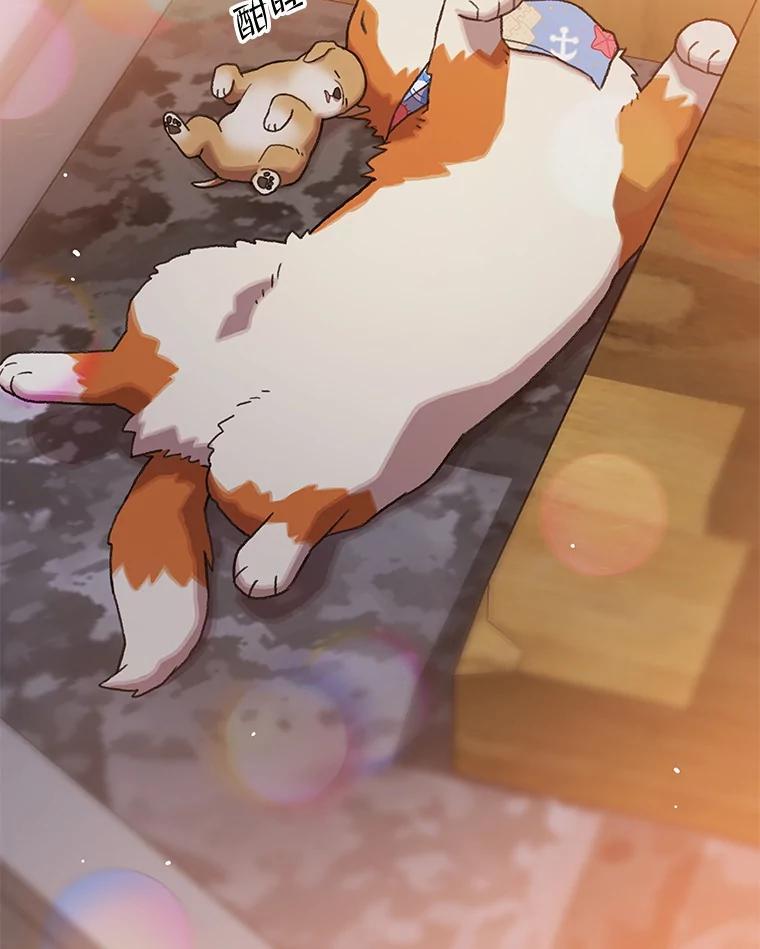 《彩虹桥守望者》146.小流浪猫 第18页