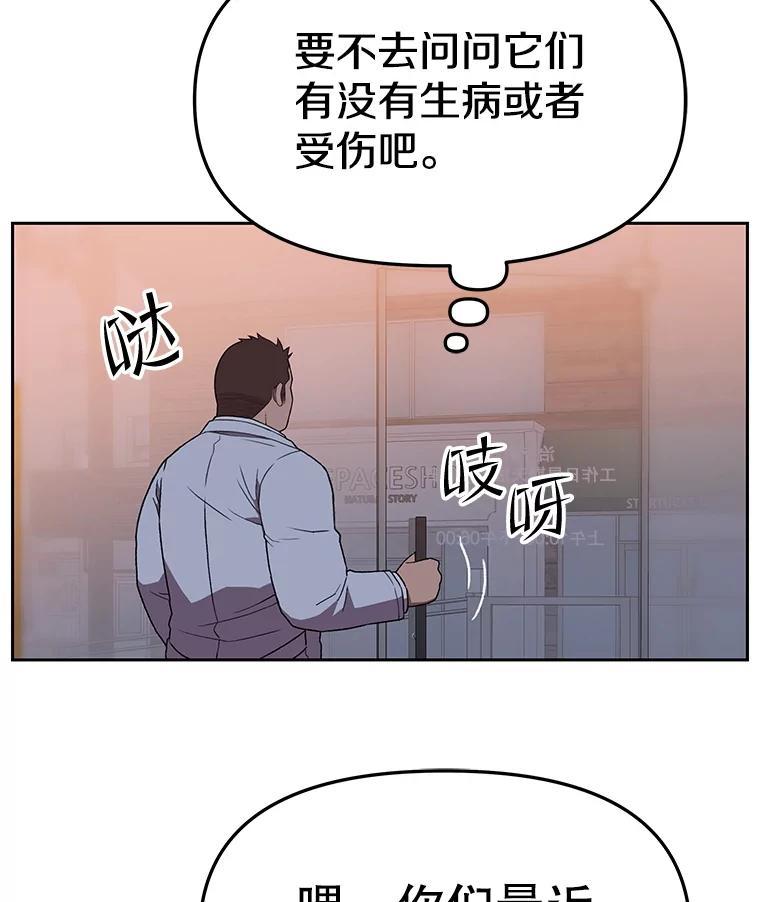 《彩虹桥守望者》146.小流浪猫 第23页