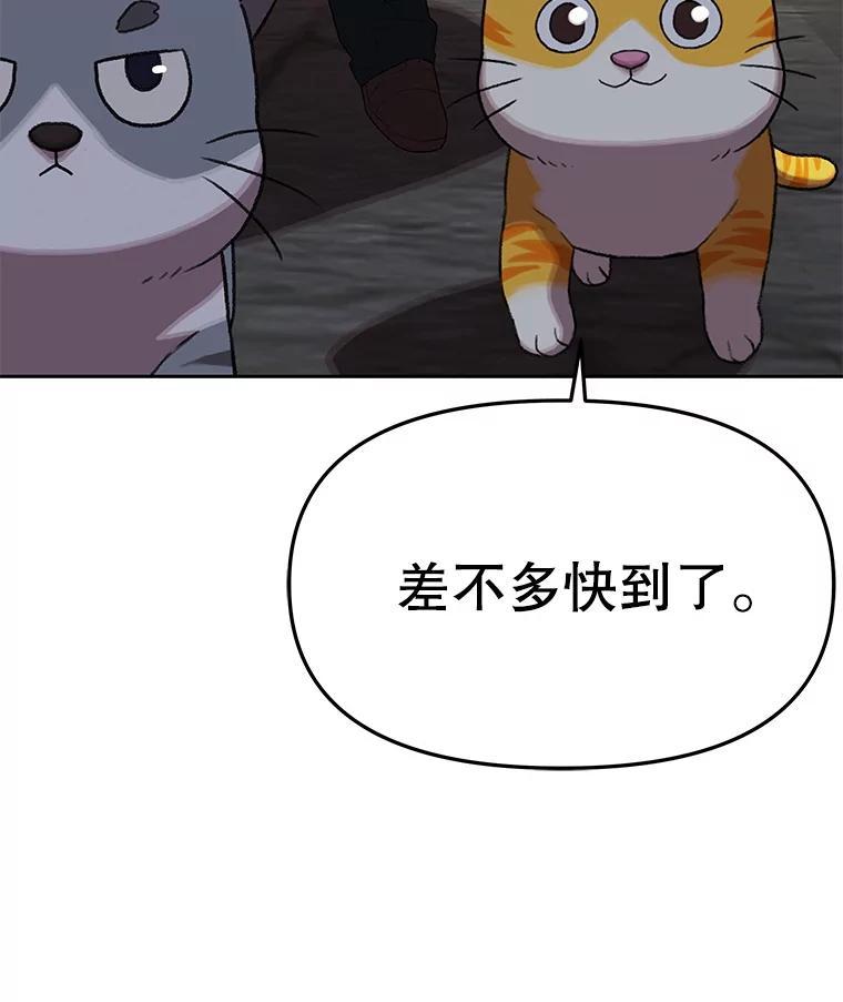 《彩虹桥守望者》146.小流浪猫 第53页